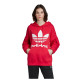 Adidas Γυναικείο φούτερ